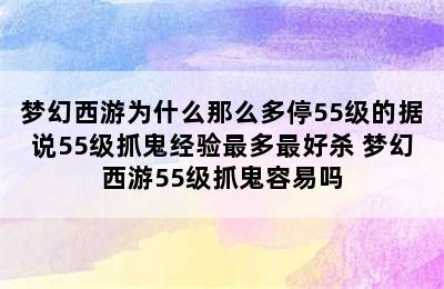 梦幻西游为什么那么多停55级的据说55级抓鬼经验最多最好杀 梦幻西游55级抓鬼容易吗